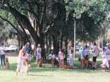 Goldens Rescued parade