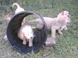 Barrel, Intro to tunnels.