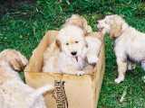 A box of fun