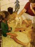 Play time with new friends.