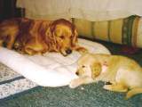 Sharing a cookie with mom.
