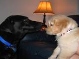 Buddies already.