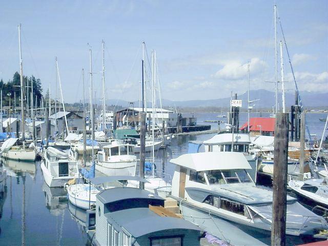 imgp0003.jpg - 113038 Bytes