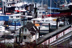 boats1.jpg - 41983 Bytes