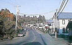 COWBAY4.JPG - 10971 Bytes