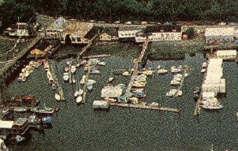 cowbay5.jpg - 27672 Bytes
