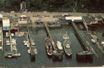 cowbay6.jpg - 23439 Bytes