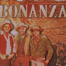 Bonanza story