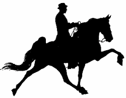 Reg Tenn. Walking and Racking Horses