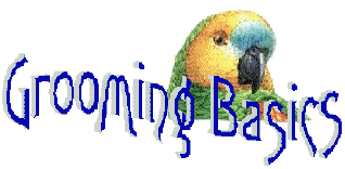 Basic Grooming