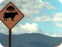 Watch Out!