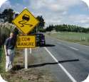 Traffic Hazards