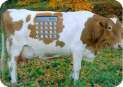 Cowculator