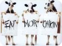 Eat More Chicken