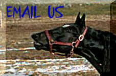 Contact Us with your questions or comments