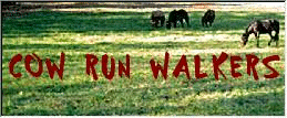Cow Run Walkers Cottageville, WV Reg. TWHBEA/RHBAA Horses