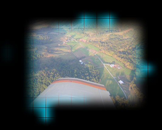 Cow Run From The Air