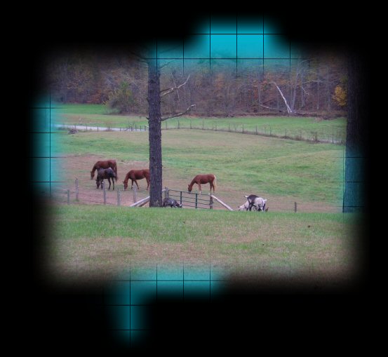 A fall day at Cow Run Walkers