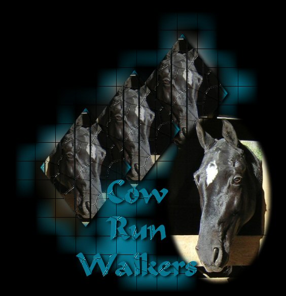 Welcome To Cow Run Walker