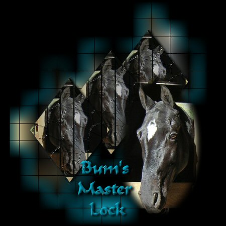 Bum's Master Lock Standing At Stud