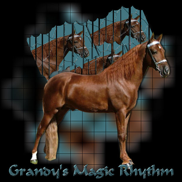 Grandy's magic Rhythm