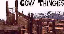 a Cow Thingie