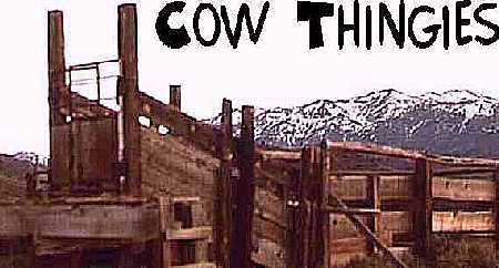 a Cow Thingie