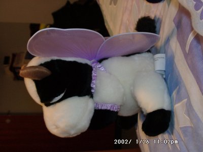 Harness