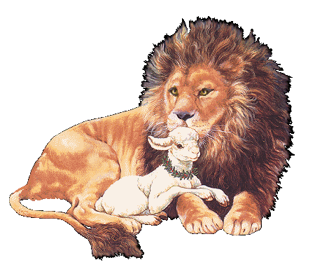 Cozy's Corner