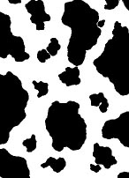 Cow Spots