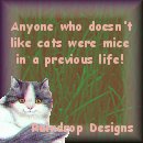 Raindrop Designs