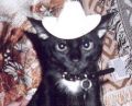 Cowboy Buddie