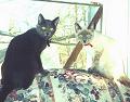Conway and Loretta