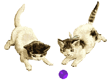 cat7.gif (14920 bytes)