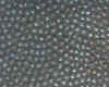 20-Dcp_2416.JPG (154633 �Ӧ줸��)