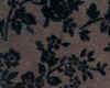 27-Dcp_2424.JPG (72119 �Ӧ줸��)