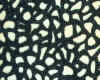 30-Dcp_2426.JPG (83981 �Ӧ줸��)