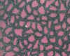 30-Dcp_2427.JPG (90904 �Ӧ줸��)