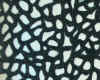 32-Dcp_2429.JPG (78827 �Ӧ줸��)