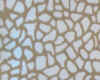 33-Dcp_2430.JPG (56041 �Ӧ줸��)