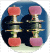 Handle.gif (15750 �Ӧ줸��)