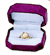 Jewel-box.gif (12710 �Ӧ줸��)