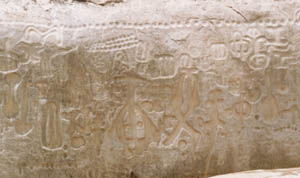 inga2.jpg (18218 bytes)