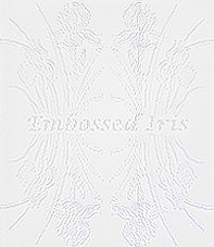 ir4flipns.gif (34116 bytes)