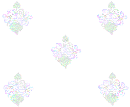 whtvbgr24lg.gif (4906 bytes)