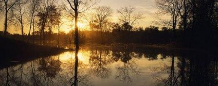 SUNRISE IN BOLIVIAN PANTANAL East of Bolivia, Santa Cruz, BoliviaPhoto � 2006 by Ian C. Martin /National Geographic Magazine�