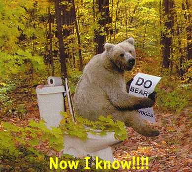 Do bears shit in the woods?