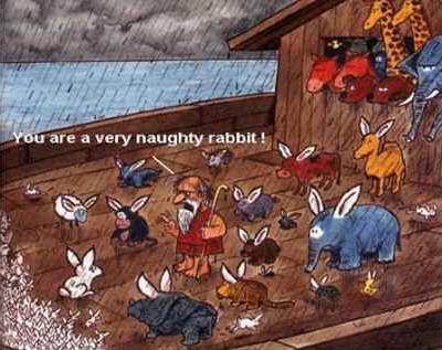 That rabbit reminds me of most men!!!