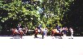 mounted patrol