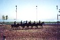 mounted patrol